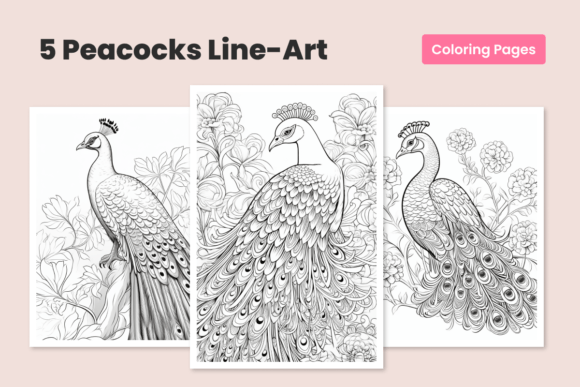 Download Peacock Bundle Coloring Pages for Adults - Bundle Collection
